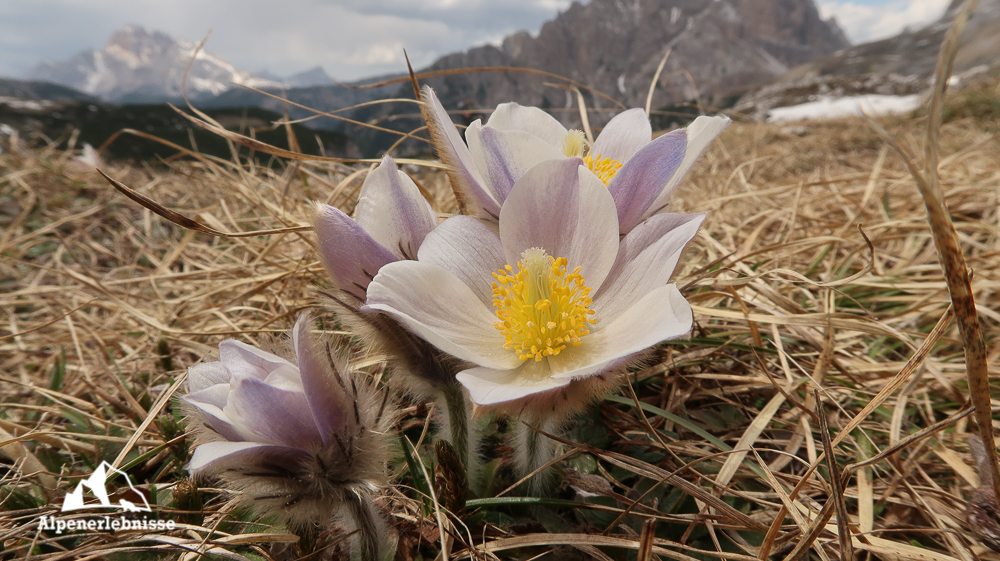 Die Drei Zinnen: Rundwanderung um das Wahrzeichen der Dolomiten